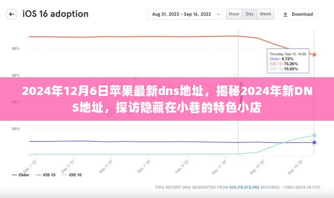 2024年苹果最新DNS地址揭秘，探访隐藏小巷的特色小店与网络技术新动态