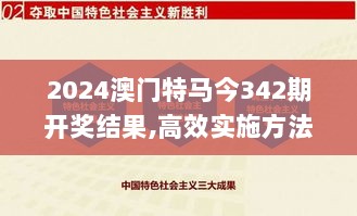 2024澳门特马今342期开奖结果,高效实施方法解析_钻石版5.955