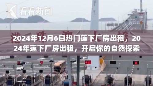 2024年热门莲下厂房出租，开启自然探索之旅！