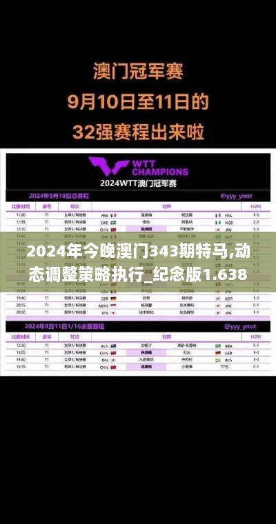 2024年今晚澳门343期特马,动态调整策略执行_纪念版1.638