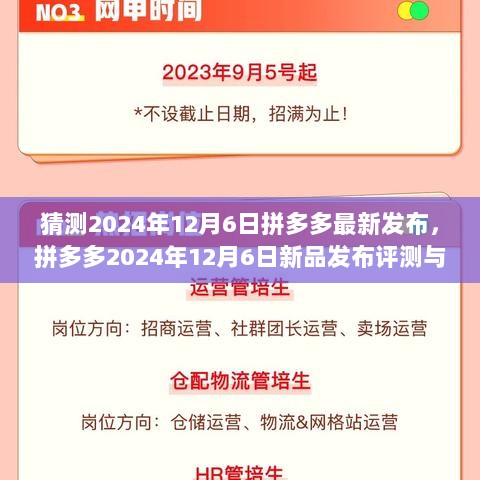 拼多多2024年12月6日新品发布评测与介绍