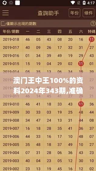 澳门王中王100%的资料2024年343期,准确资料解释落实_微型版9.160