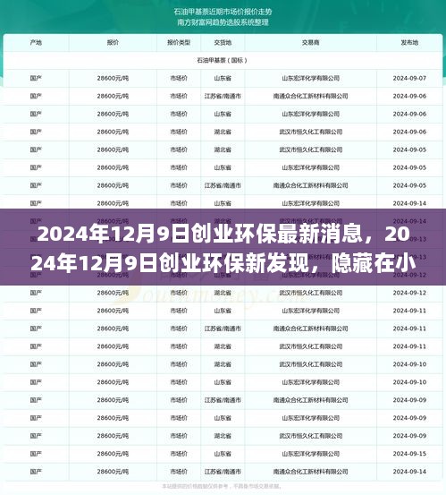 2024年12月9日创业环保新发现，隐藏在小巷深处的特色小店揭秘