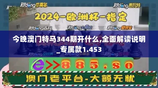 今晚澳门特马344期开什么,全面解读说明_专属款1.453