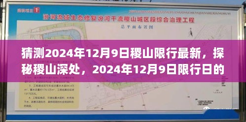 探秘稷山深处，2024年12月9日限行日下的稷山美食之旅与最新限行猜测