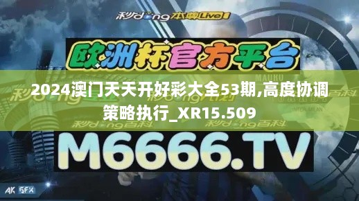 2024澳门天天开好彩大全53期,高度协调策略执行_XR15.509