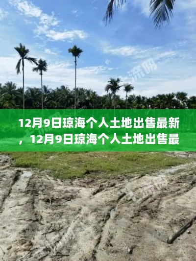 12月9日琼海个人土地出售最新信息及全面评测与介绍