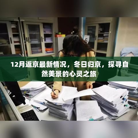 冬日归京，探寻自然美景的心灵之旅，了解最新返京情况