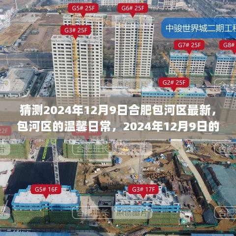 合肥包河区温馨日常，奇遇与情感纽带，2024年12月9日的记录