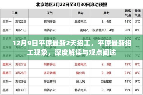 平原最新招工现象解读与观点阐述，深度探讨平原地区招工趋势及影响