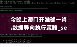 今晚上澳门开准确一肖,数据导向执行策略_set7.452