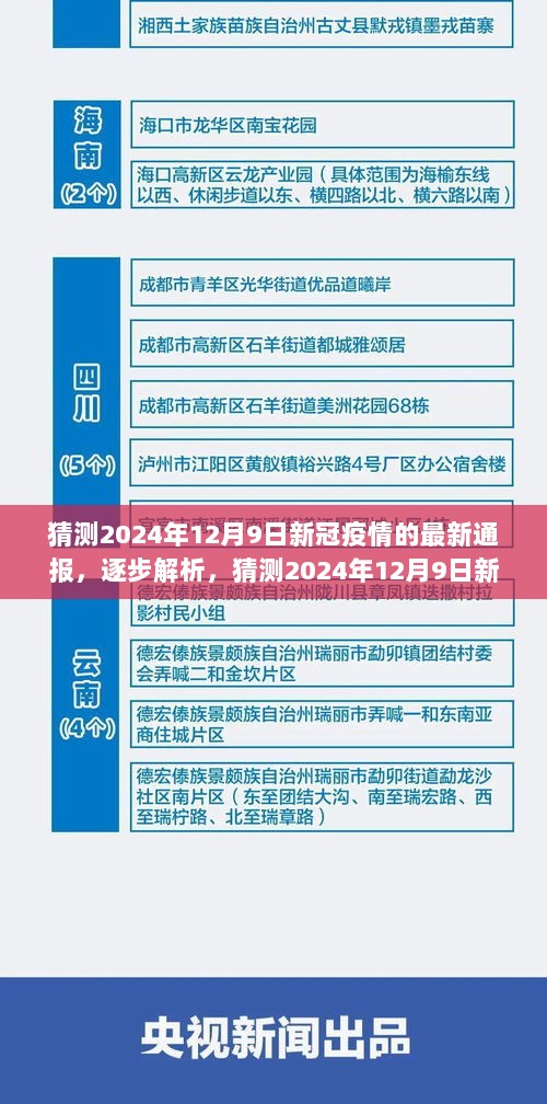 2024年12月9日新冠疫情最新通报解析，初学者与进阶用户指南