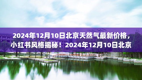 揭秘！2024年12月10日北京天然气最新价格动态，小红书上的价格走势一网打尽！