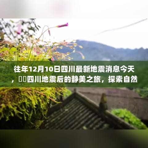 四川地震后的静美之旅，探索自然秘境，心灵净土的追寻