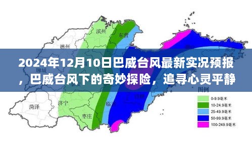 巴威台风下的心灵追寻，最新实况与奇妙探险之旅（2024年12月10日）