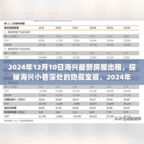 探秘海兴小巷深处的隐藏宝藏，2024年最新房屋出租特色房源发布