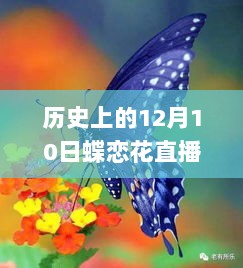 历史上的蝶恋花直播app最新版下载，深度解析与体验分享日回顾