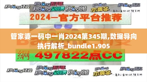 管家婆一码中一肖2024第345期,数据导向执行解析_bundle1.905