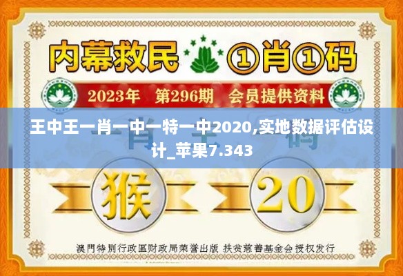 王中王一肖一中一特一中2020,实地数据评估设计_苹果7.343