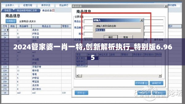 2024管家婆一肖一特,创新解析执行_特别版6.965