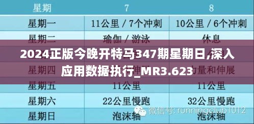 2024正版今晚开特马347期星期日,深入应用数据执行_MR3.623