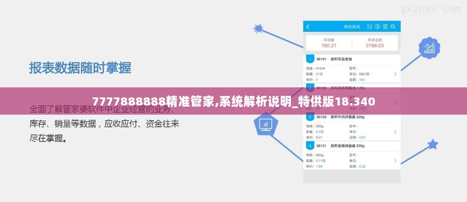 7777888888精准管家,系统解析说明_特供版18.340