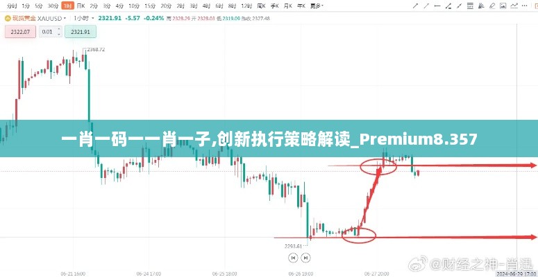 一肖一码一一肖一子,创新执行策略解读_Premium8.357