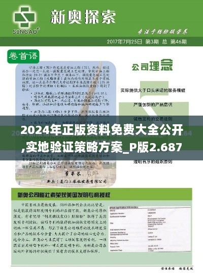 2024年正版资料免费大全公开,实地验证策略方案_P版2.687