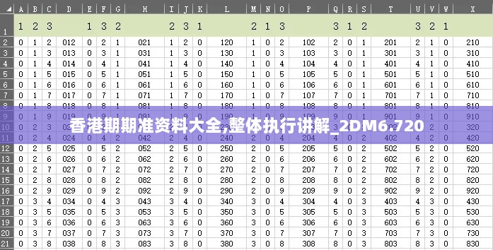 香港期期准资料大全,整体执行讲解_2DM6.720