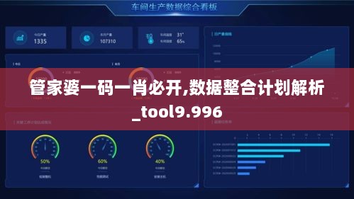 管家婆一码一肖必开,数据整合计划解析_tool9.996