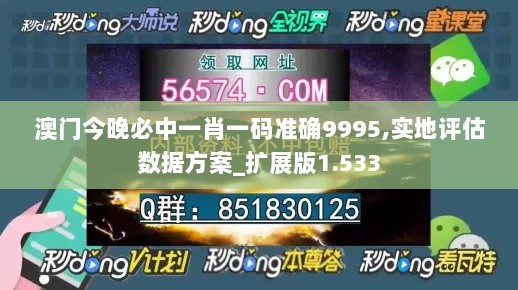 澳门今晚必中一肖一码准确9995,实地评估数据方案_扩展版1.533