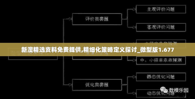 新澳精选资料免费提供,精细化策略定义探讨_微型版1.677