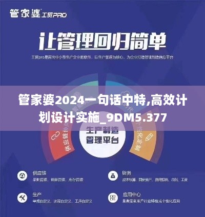 管家婆2024一句话中特,高效计划设计实施_9DM5.377