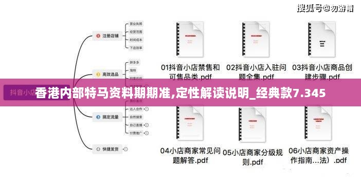 香港内部特马资料期期准,定性解读说明_经典款7.345