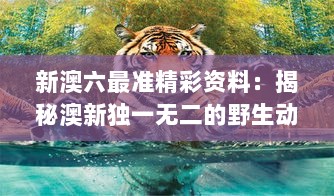 新澳六最准精彩资料：揭秘澳新独一无二的野生动物世界