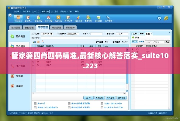 管家婆四肖四码精准,最新核心解答落实_suite10.223