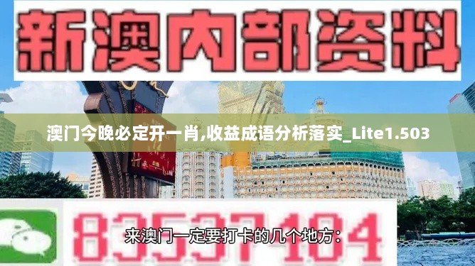 澳门今晚必定开一肖,收益成语分析落实_Lite1.503