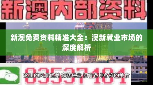 新澳免费资料精准大全：澳新就业市场的深度解析