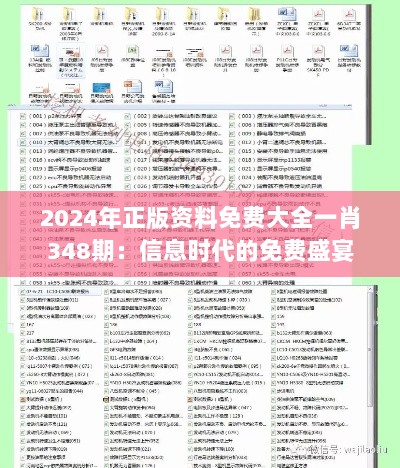 2024年正版资料免费大全一肖348期：信息时代的免费盛宴