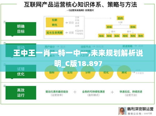 王中王一肖一特一中一,未来规划解析说明_C版18.897