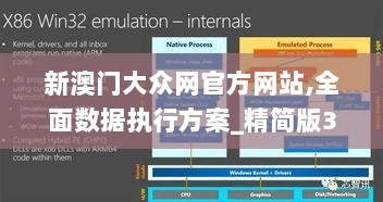 新澳门大众网官方网站,全面数据执行方案_精简版3.821