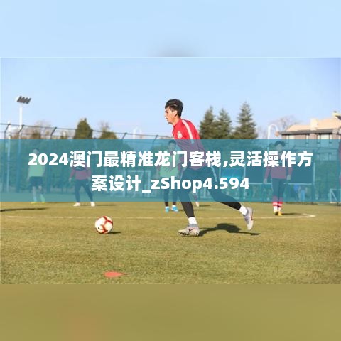 2024澳门最精准龙门客栈,灵活操作方案设计_zShop4.594