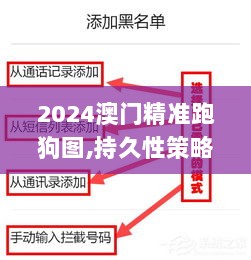 2024澳门精准跑狗图,持久性策略解析_界面版3.176