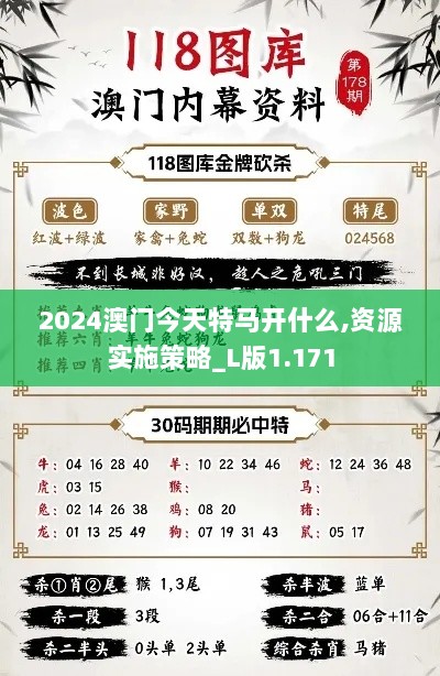 2024澳门今天特马开什么,资源实施策略_L版1.171