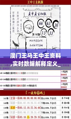 澳门王马王中王资料,实时数据解释定义_set5.746