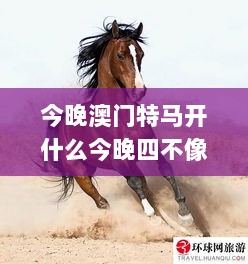 今晚澳门特马开什么今晚四不像,迅捷解答方案设计_Plus8.446