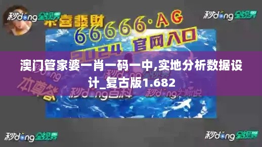 澳门管家婆一肖一码一中,实地分析数据设计_复古版1.682