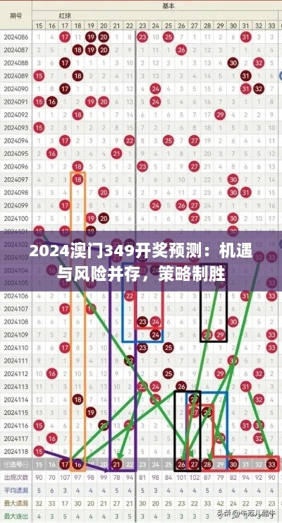 2024年12月14日 第21页