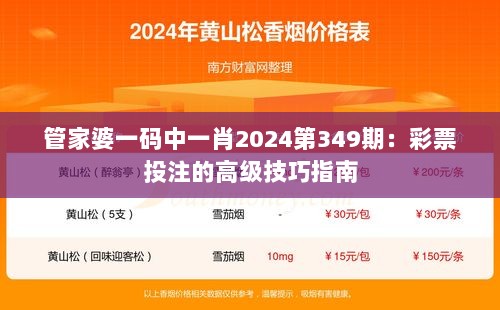 管家婆一码中一肖2024第349期：彩票投注的高级技巧指南