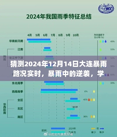 大连暴雨逆袭之路，学习变化的力量与未来的无限可能